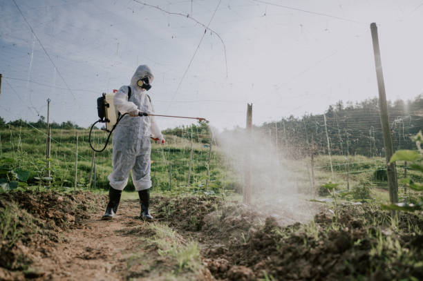 Best Mosquito Control Services  in , RI