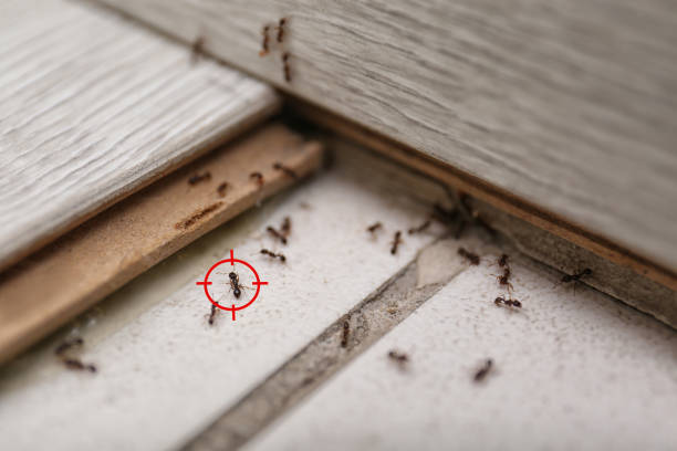 Best Commercial Pest Control Services  in , RI