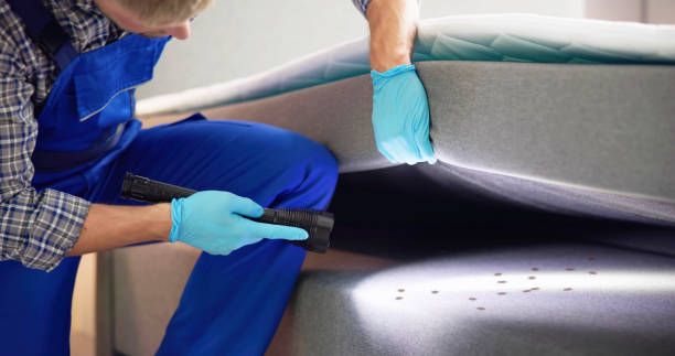 Best Termite Control Services  in , RI