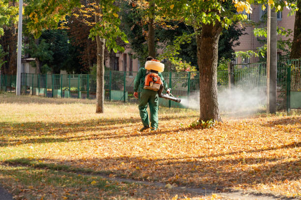 Best Best Pest Control Companies  in , RI