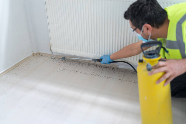 Best Affordable Pest Control Services  in , RI