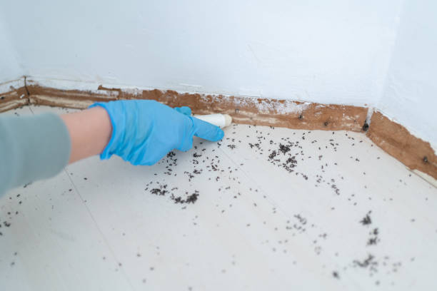 Best Pest Prevention Services  in , RI