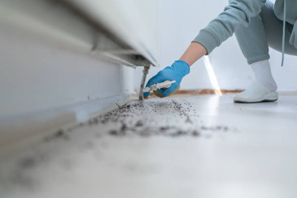 Best Bed Bug Extermination  in , RI