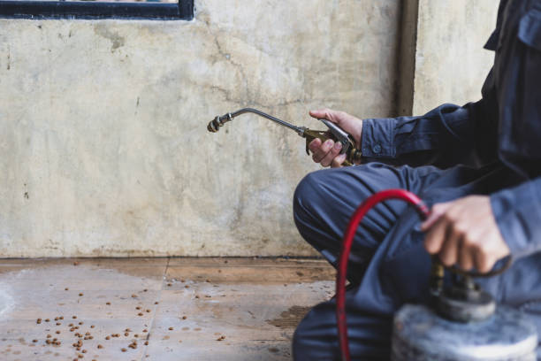 Best Pest Control for Homes  in , RI