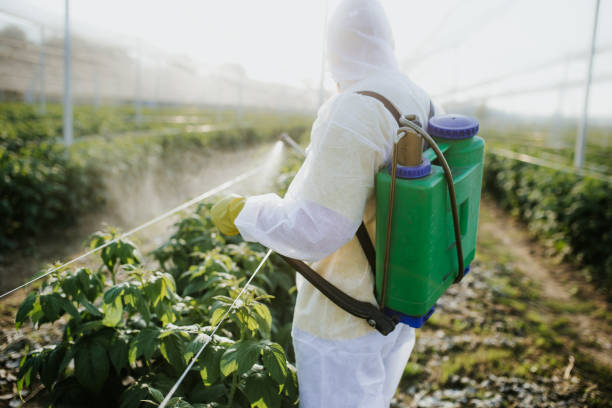 Best Emergency Pest Control  in , RI